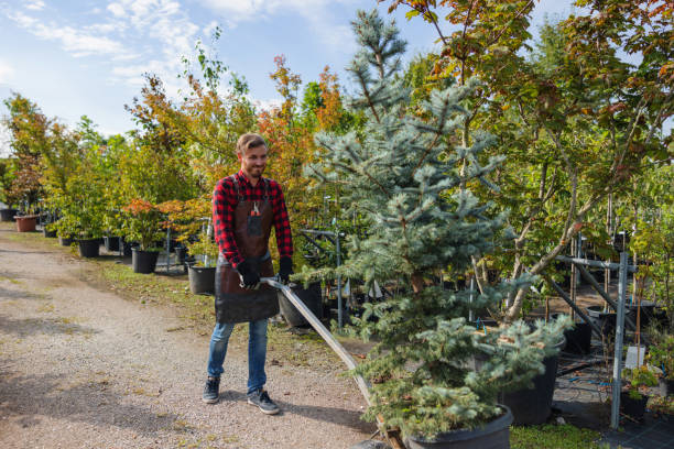 Mulching Services in Lake Cherokee, TX